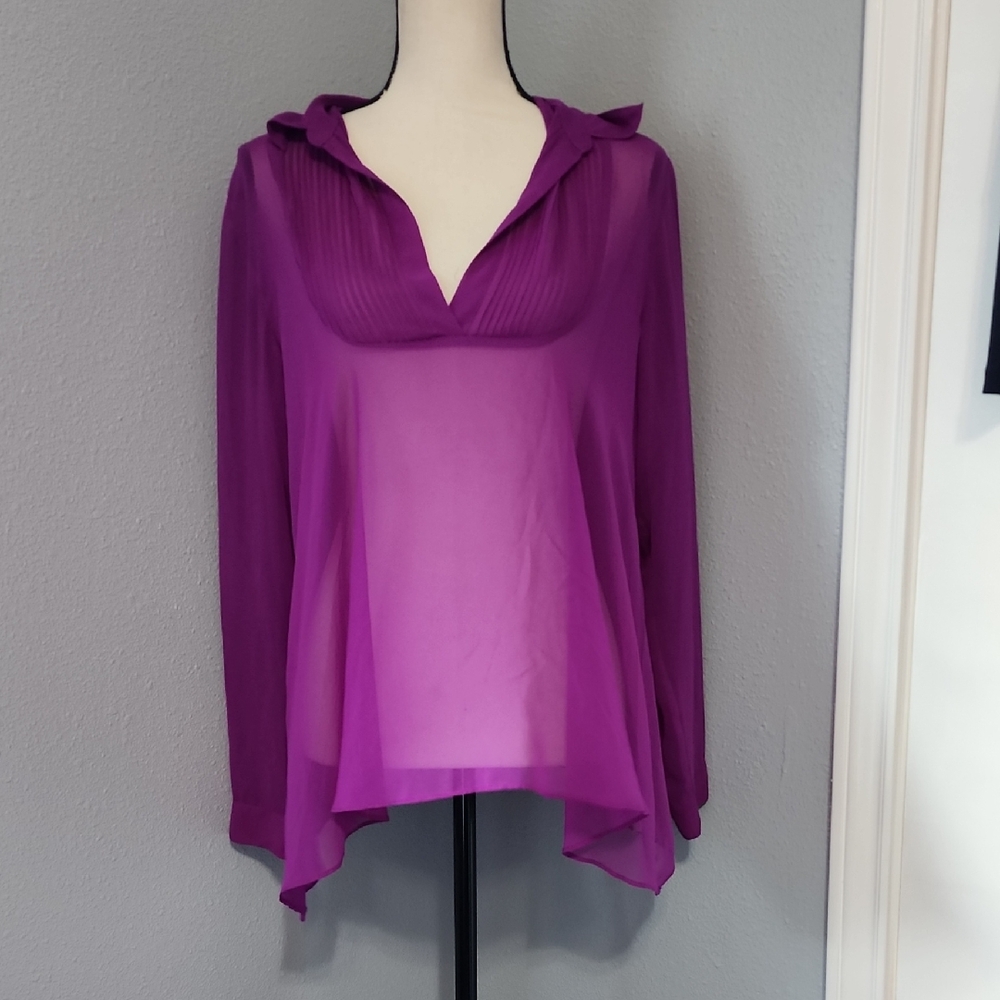 Free People Sheer Purple Chiffon Blouse Boho Long Sleeve